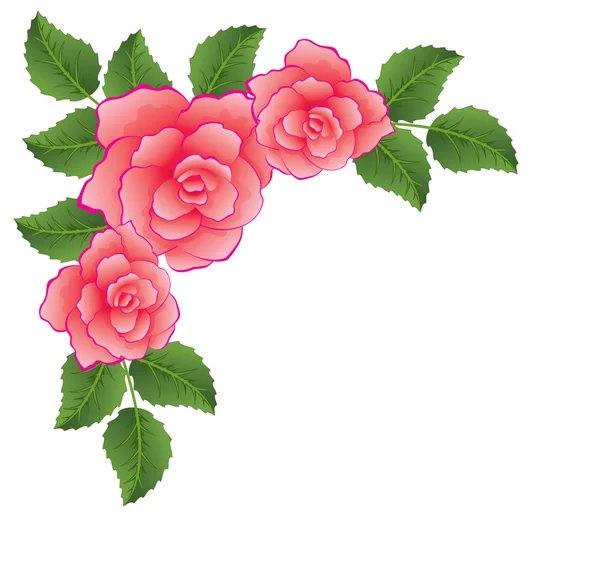 Vector rosas con hojas — Vector stock © dmstudio #8835346