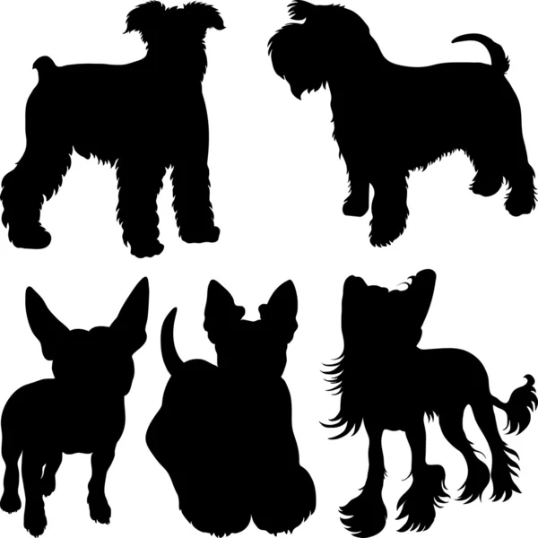 Vector siluetas de perros terrier en el rack — Vector stock ...