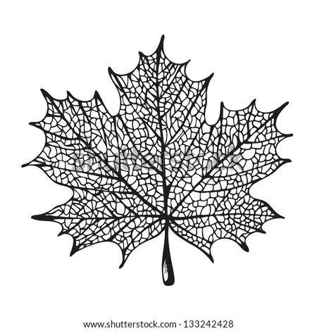 Vector vintage maple leaf Free vector for free download about (15 ...