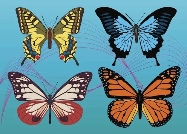 vectores de colores de la mariposa | Descargar Vectores gratis