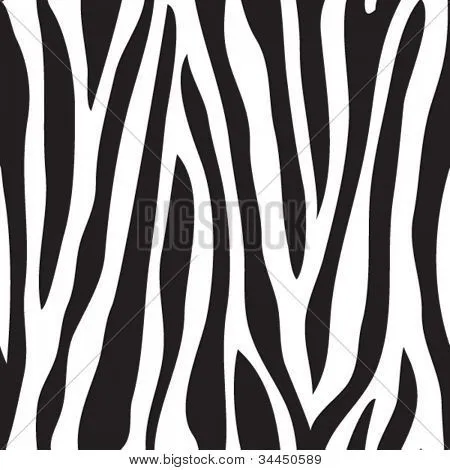 Animal print, zebra texture seamless background black and white ...