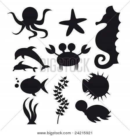 Vectores y fotos en stock de Animales marinos de silueta | Bigstock