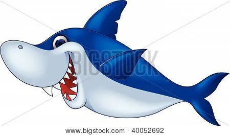 Vectores y fotos en stock de Dibujos animados graciosos tiburón ...