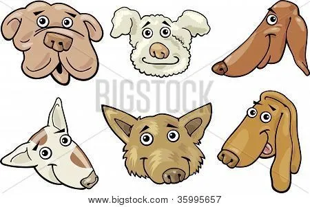 Vectores y fotos en stock de Dibujos animados graciosos perros ...