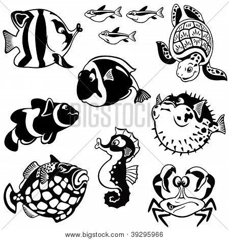 Vectores y fotos en stock de Dibujos animados peces blanco y negro ...