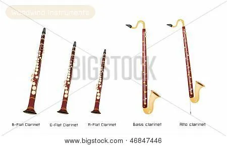 Vectores y fotos en stock de Diversos tipos de clarinetes aislado ...