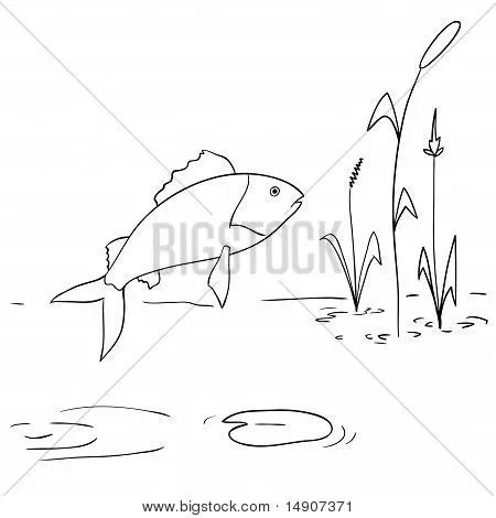 Vectores y fotos en stock de Río de dibujos animados peces ...