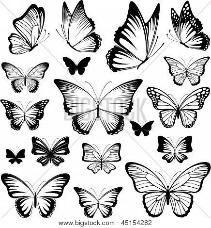 Vectores y fotos en stock de Siluetas de Vector de mariposa | Bigstock