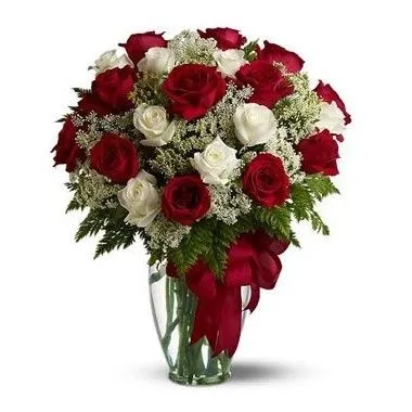 Veinte y cuatro rosas rojas y blancas en florero a Francia Veinte y cuatro rosas rojas y blancas en florero a Francia