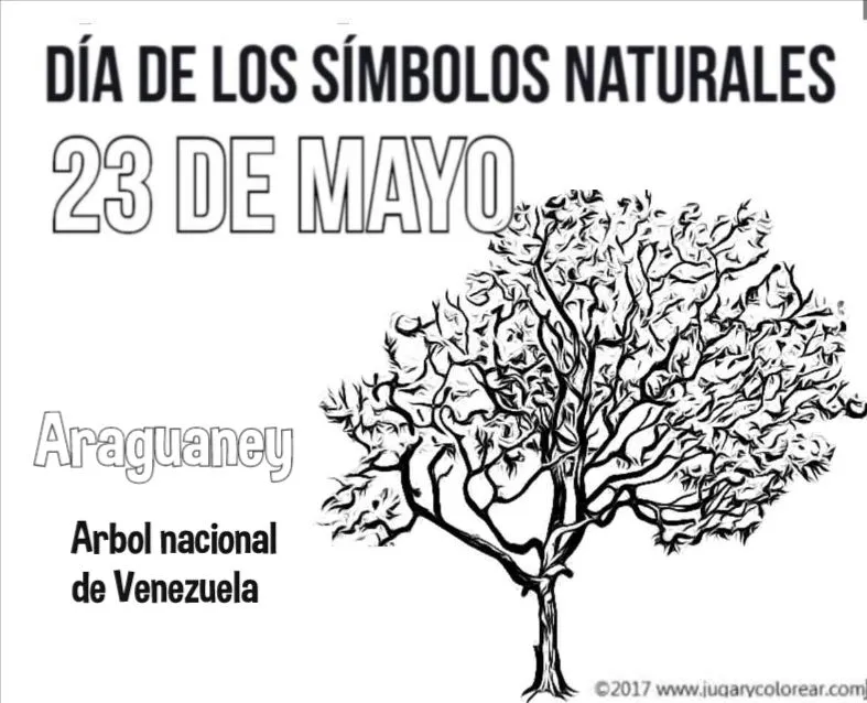 Venezuela 23 de Mayo, símbolos naturales - Jugar y Colorear