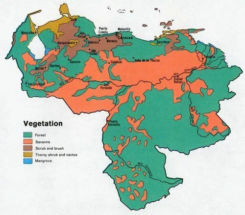 Venezuela: vegetación | La guía de Geografía