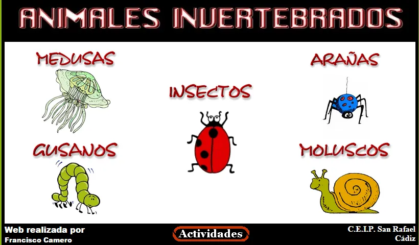 La ventana de mi clase: Animales vertebrados e invertebrados