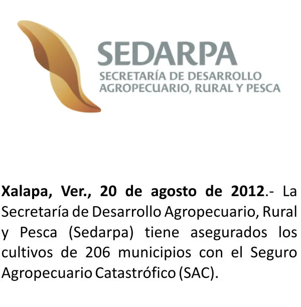 En Veracruz, 206 municipios con sus cultivos asegurados: Sedarpa ... En Veracruz, 206 municipios con sus cultivos asegurados: Sedarpa ...