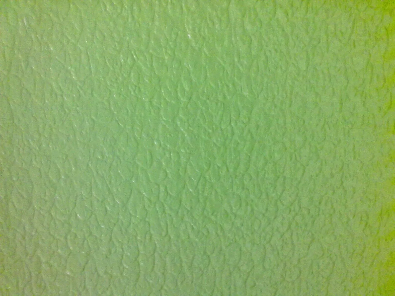 Verde Textura Full Hd Wallpapers 256x1440 Color Picture Pictures Verde Textura Full Hd Wallpapers 256x1440 Color Picture Pictures
