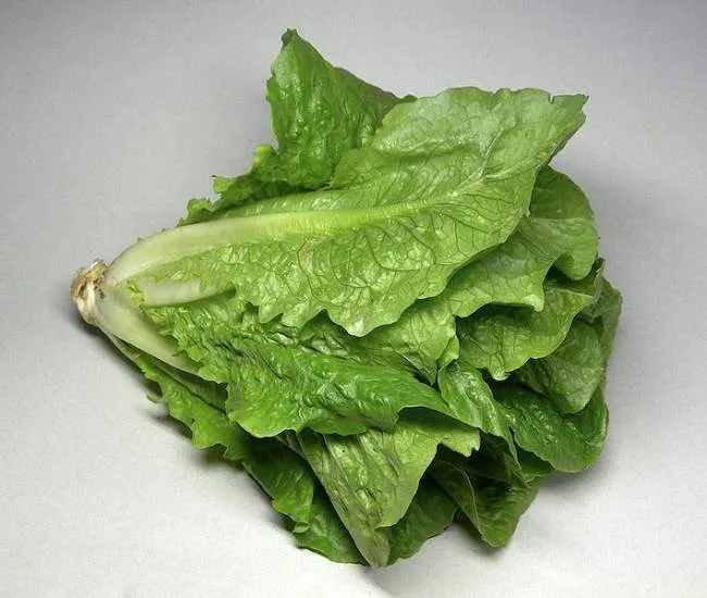 La verdura de hoja verde protege la salud del sistema digestivo ... La verdura de hoja verde protege la salud del sistema digestivo ...