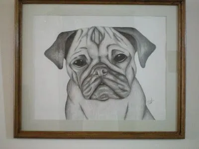 veronica: dibujos y cuadros: cuadro perro a lapíz veronica: dibujos y cuadros: cuadro perro a lapíz