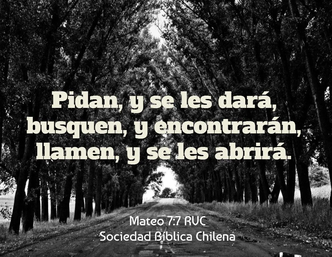 Versículos de la Biblia de ánimo y aliento - Sociedad Bíblica Chilena