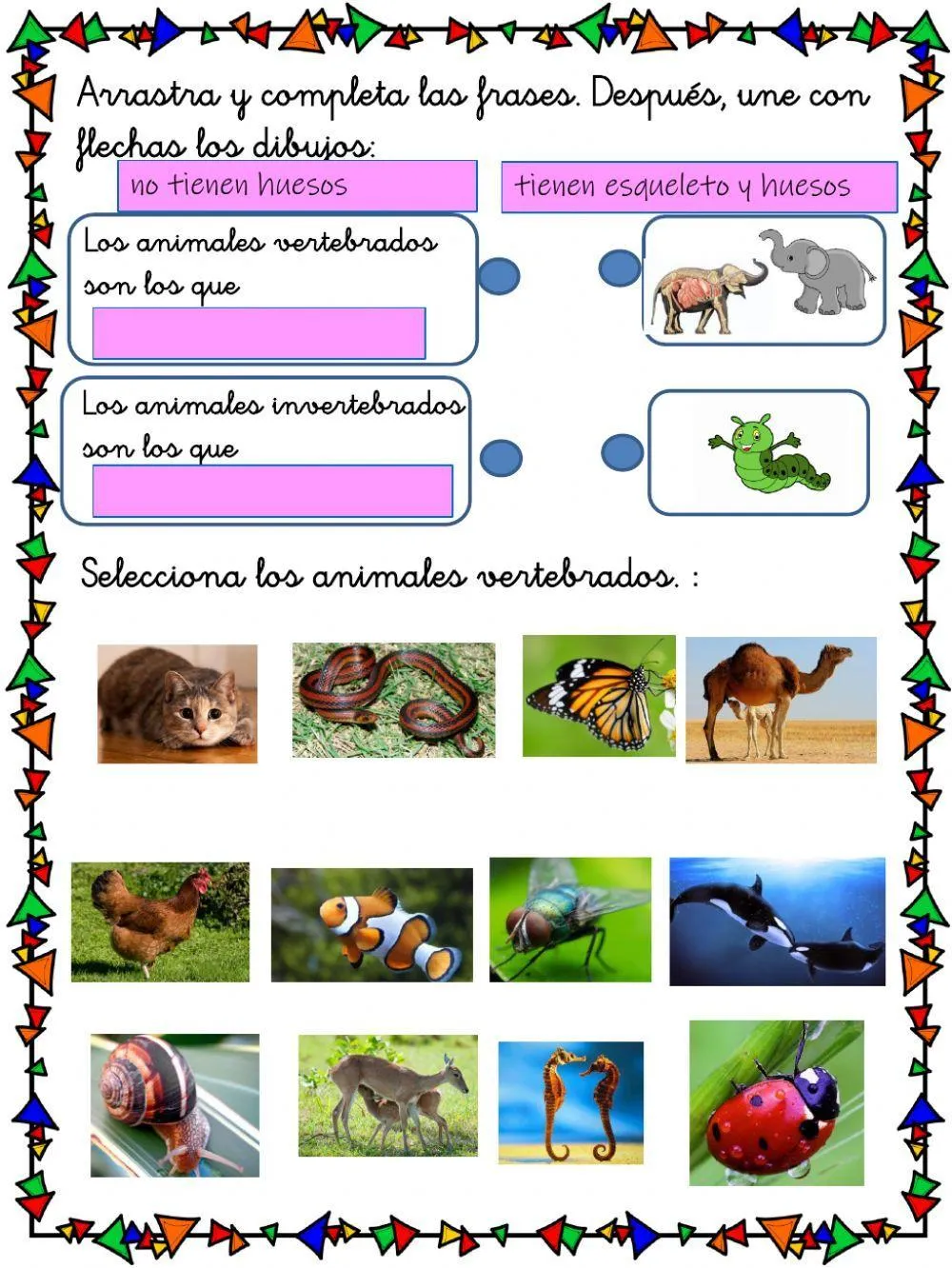 Vertebrados invertebrados worksheet | Live Worksheets