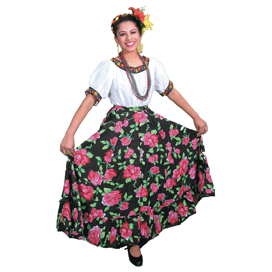 Vestido regional de Tabasco México | TRAJES REGIONALES MEXICO ...