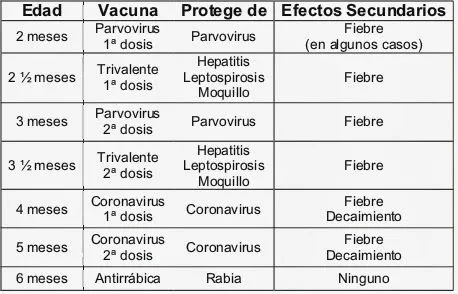 Veterinario Lambayeque: Calendario de Vacunacion del Perro ...