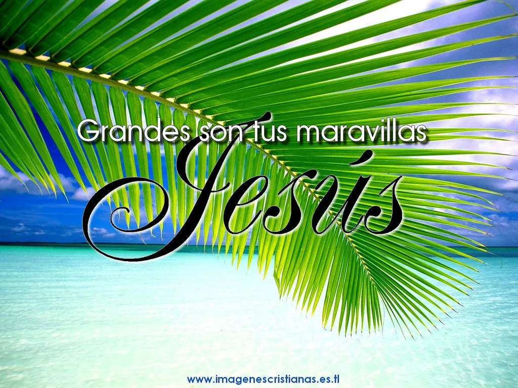 Nueva Vida en Cristo: Fondos de pantalla cristianos Nueva Vida en Cristo: Fondos de pantalla cristianos