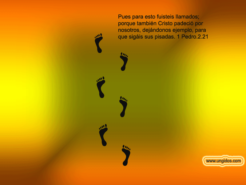 Nueva Vida en Cristo: Fondos de pantalla cristianos Nueva Vida en Cristo: Fondos de pantalla cristianos
