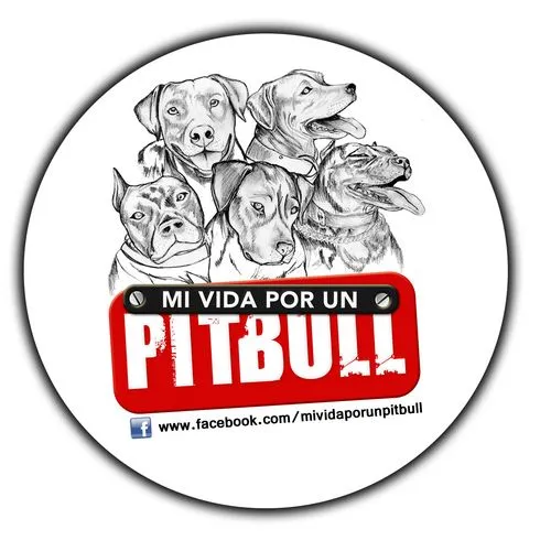 Mi Vida x un Pitbull (@MIVIDAXUNPIT) | Twitter