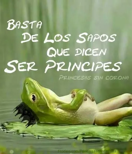 EN FIN.....SAPOS DISFRAZADOS DE PRINCIPES Y PRINCESAS EN FIN.....SAPOS DISFRAZADOS DE PRINCIPES Y PRINCESAS
