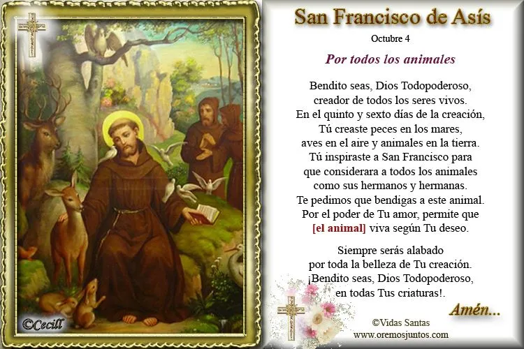 Vidas Santas: Estampita y Oración de San Francisco de Asís, por ...