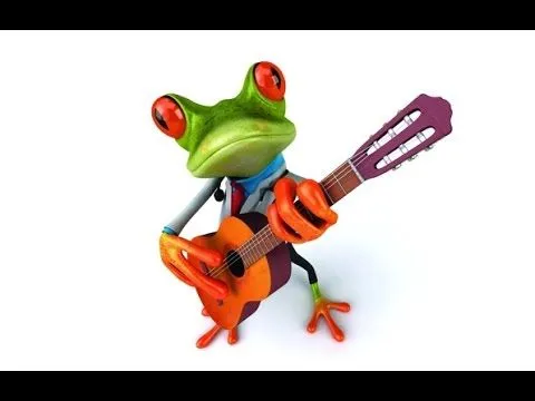 video gracioso Ranas (Frogs) ***HD*** - YouTube