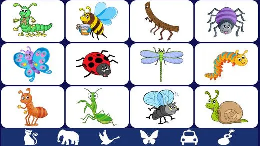 Video Touch - Insectos en el App Store