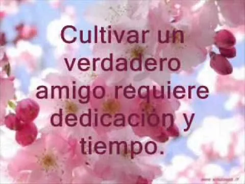 Vídeos on Pinterest | Youtube, Videos and Amor