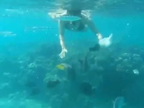 Videos de sirenas reales encontradas vivas en el mar - Imagui