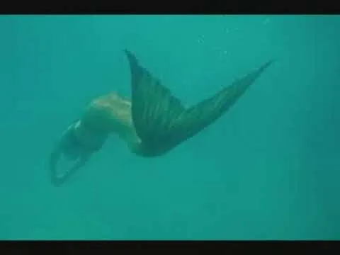 Sirenas reales vivas en el mar videos - Imagui