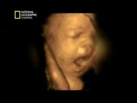 En el vientre materno - 9/11 - YouTube