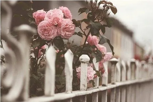 Vintage Pink Flowers Tumblr | fashionplaceface.