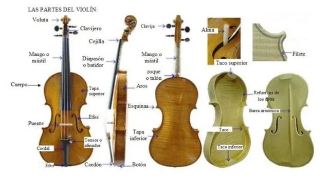 El violín | En Clave de Niños