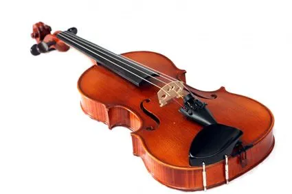 Violin Strings of Cobwebs | Trussty Jasmine Violin Strings of Cobwebs | Trussty Jasmine