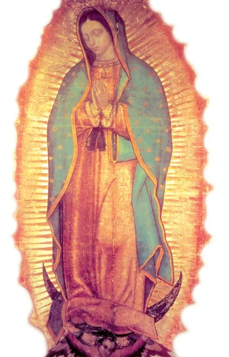 Virgen de Guadalupe sin fondo - Imagui