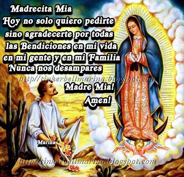 Virgen de Guadalupe - 6 Imágenes y Fotos para Compartir - ImagenesCool