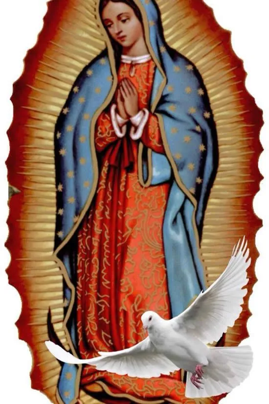 Virgen de Guadalupe - Imágenes para Compartir - ImagenesCool