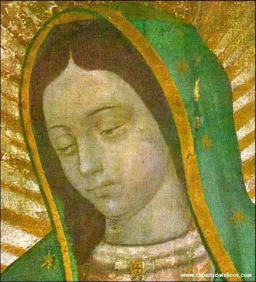 Virgen de Guadalupe imagenes y wallpapers catolicos - Taringa!