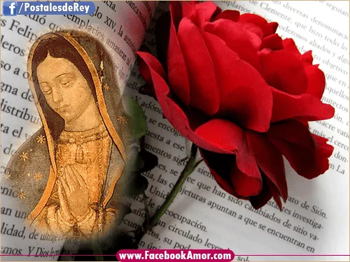 Virgen de Guadalupe de México - Imágenes Bonitas para Facebook ...