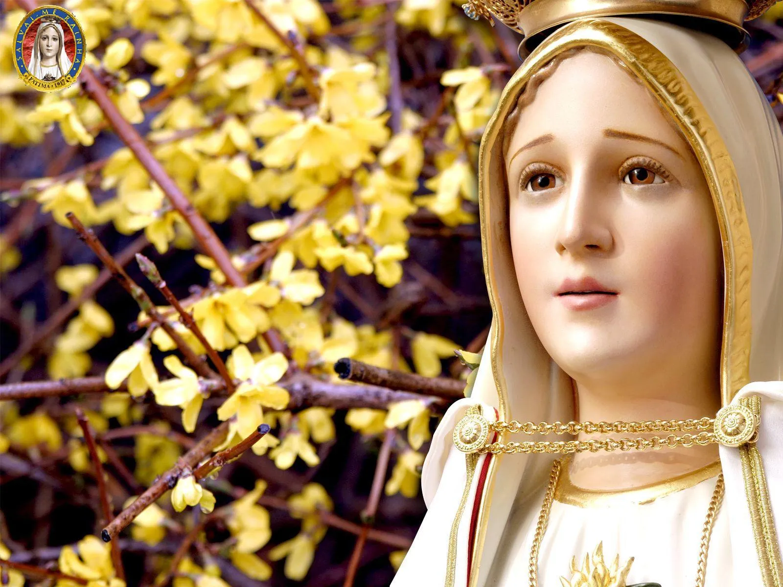 VIRGEN MARÍA, RUEGA POR NOSOTROS : FONDOS DE PANTALLA VIRGEN DE FATIMA VIRGEN MARÍA, RUEGA POR NOSOTROS : FONDOS DE PANTALLA VIRGEN DE FATIMA