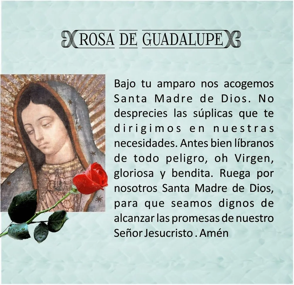 VIRGEN MARÍA, RUEGA POR NOSOTROS : ORACIÓN A LA ROSA DE GUADALUPE VIRGEN MARÍA, RUEGA POR NOSOTROS : ORACIÓN A LA ROSA DE GUADALUPE