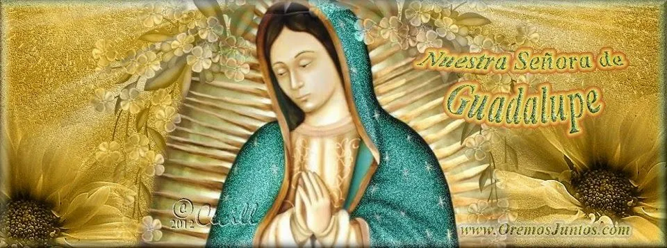 VIRGEN MARÍA, RUEGA POR NOSOTROS : PORTADAS MARIANAS PARA FACEBOOK