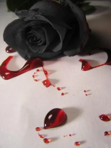 Visiones aromatizadas de añil: LA ROSA NEGRA (CAPÍTULO II) Visiones aromatizadas de añil: LA ROSA NEGRA (CAPÍTULO II)