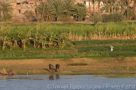 Vistas de Río Nilo entre Asuan y Luxor