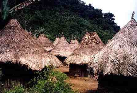 La vivienda indigena de "Los Koguis"