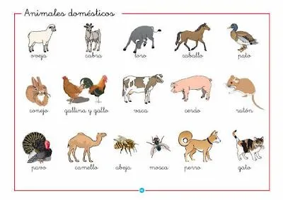 VOCABULARIO - ANIMALES DOMESTICOS : FICHAS PARA NIÑOS